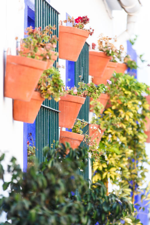 Sechi Aparthotel Marbella - Self Service, With Parking Estepona Exterior foto