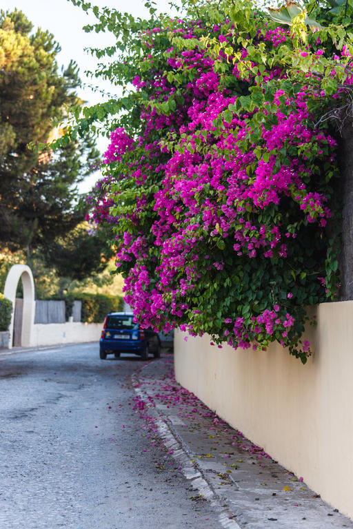 Sechi Aparthotel Marbella - Self Service, With Parking Estepona Exterior foto